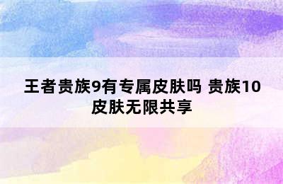 王者贵族9有专属皮肤吗 贵族10皮肤无限共享